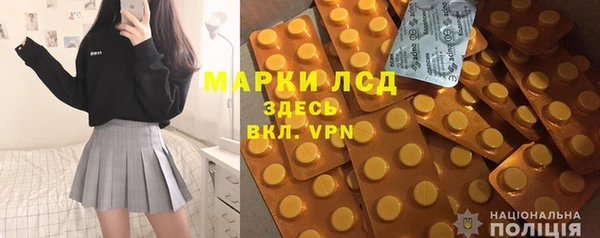 шишки Корсаков