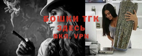 экстази Краснослободск