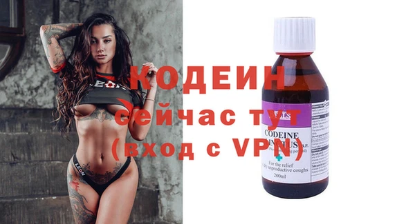 шишки Корсаков