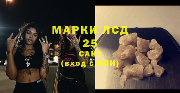 шишки Корсаков