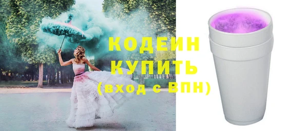 шишки Корсаков