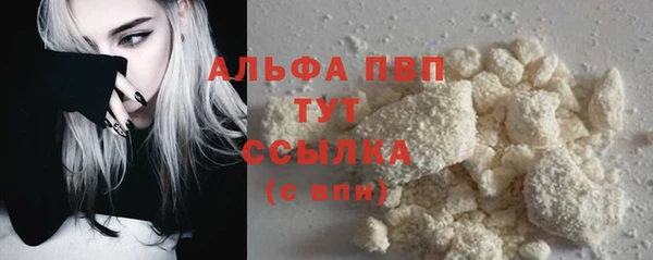шишки Корсаков