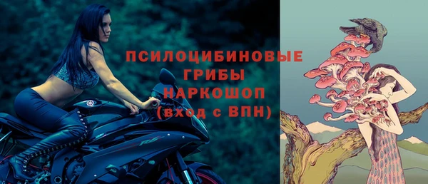 винт Коряжма