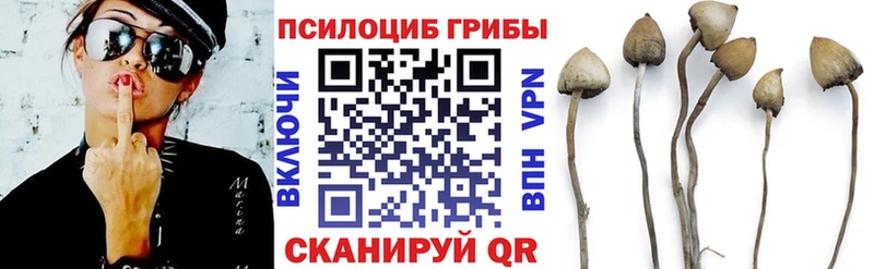 Галлюциногенные грибы GOLDEN TEACHER  Купить  Балей 